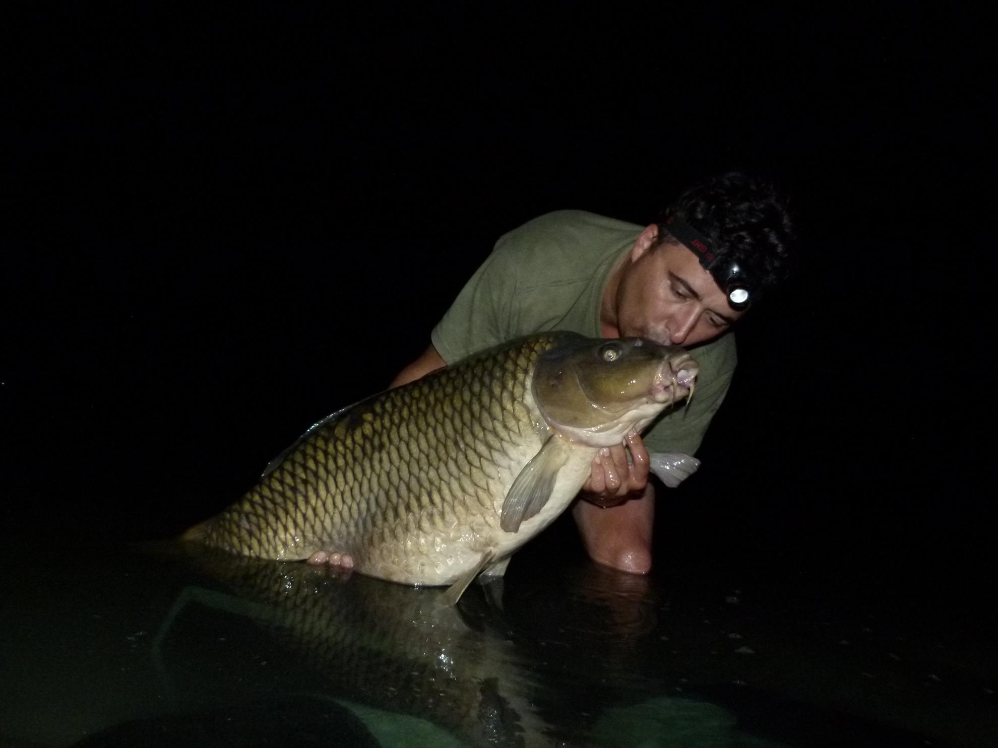 PDB 2013 - 21,500 kg